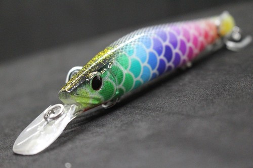 Jerkbait Bait Bass Fishing Lure wLure 5 1/4 inch 2/3 oz Lifelike HM629 - Picture 24 of 53