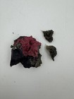 Bild 11 von 11