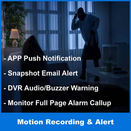 1PV DVR NVR 8CH 8 Channel 1080P HD TVI/CVI/AHD/ANALOG/IP Remote Monitor 4TB HDD - Picture 10 of 10