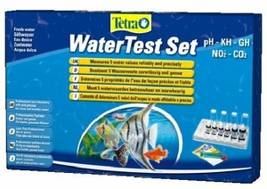 tetra laborett aquarium freshwater
