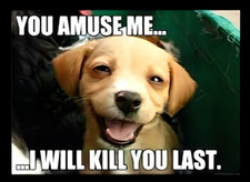 You Amuse Me I Will Kill You Last Psycho Dog Cute Puppy MAGNET