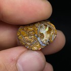 Foto 3 di 5