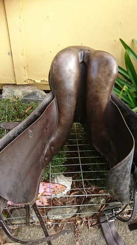 Kieffer Udo Lange Dressage Saddle - Picture 14 of 14