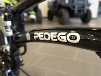 2021 PEDEGO LATCH