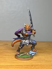 Painted Dragonborn Paladin Fighter Miniature, Pro Painted D D DND Miniature