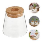  3-teilige Pflanzenvermehrungsstation, Desktop-Pflanzgefäße, Terrarium,