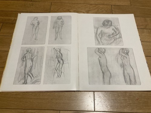 VERVE Nr. 17-18 1947 Farben Von Bonnard Lithographie - Bild 8 von 16