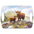Large Serving Tray Highland Cow Tableware Melamine Food Snacks Server Gift Idea