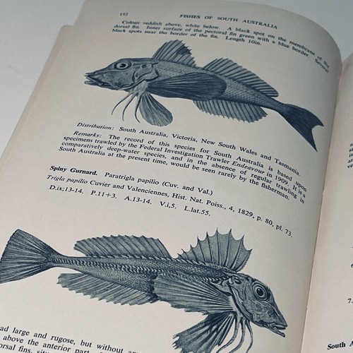 The Marine and Fresh Water Fishes of South Austr (Softcover 1962) Trevor D Scott - Picture 19 of 22