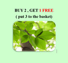 BBQ SMOKING WOOD CHIPS 2L Free Postage