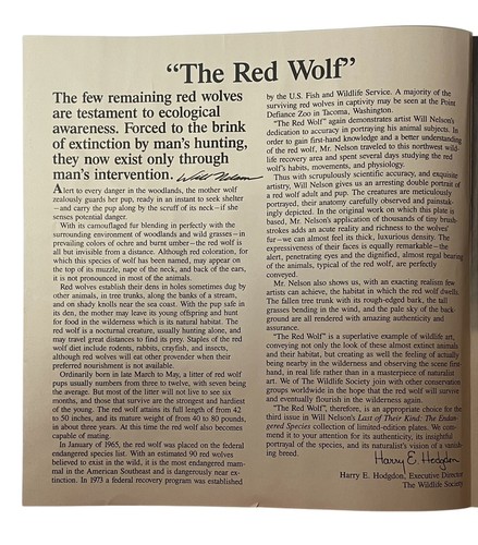 The Red Wolf Plate 3rd Issue in Last of Their Kind Endangered Species 1989 COA - Imagen 12 de 16