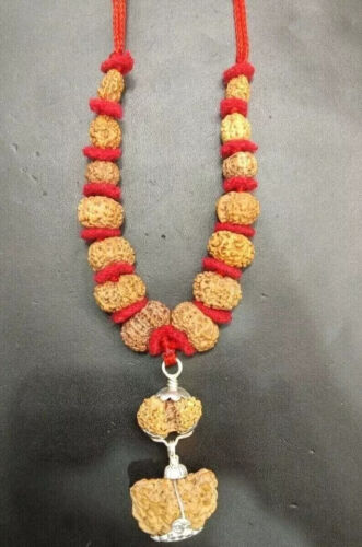 Rudraksha Siddha Mala de collection : 1 Mukhi à 14 Mukhi - remises Peigne spirituel ultime