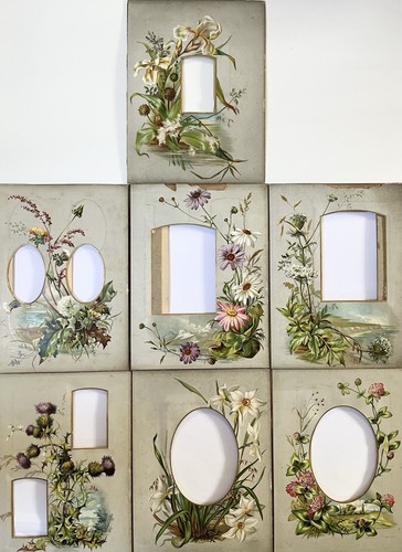VINTAGE BILDKARTENHALTERUNGEN AUS FOTOALBUM um 1900 x 8 - MARITIM & FLORAL