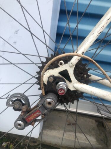 Vintage Raleigh Touring Bike- 60cm Frame- 27” Wheels- 10 Speed - Picture 12 of 24