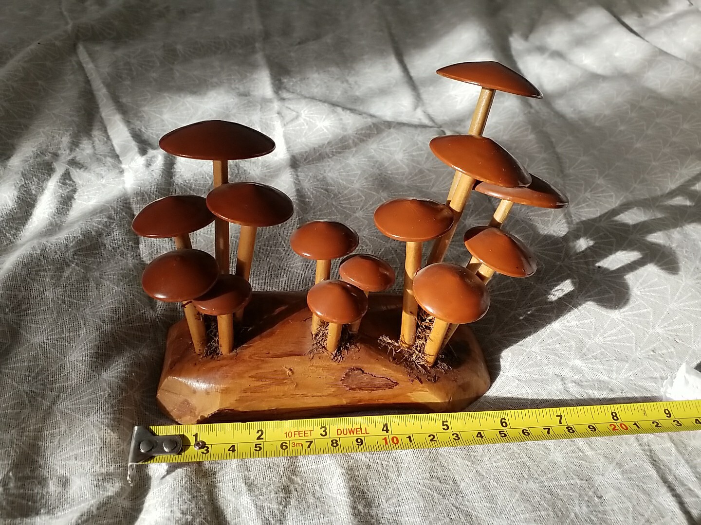 Picture 10 of 11