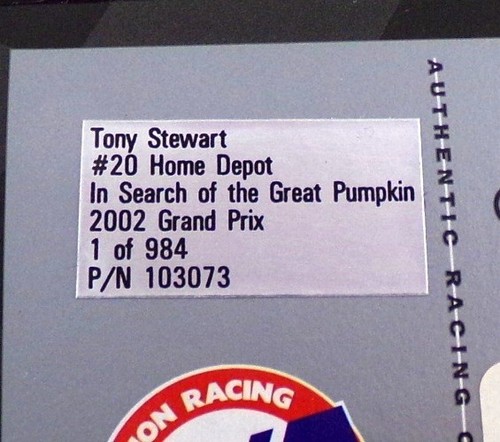 2002 Tony Stewart #20 Peanuts Search of the Great Pumpkin 1:24 Diecast Action - Picture 11 of 11