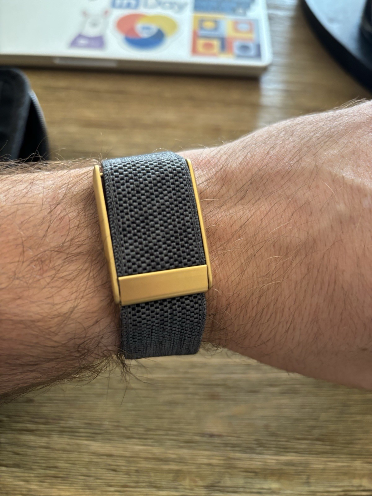 New WHOOP MG Black/Gray Band with Gold Clasp/hook/link/trim. Also Fits Whoop 5.0