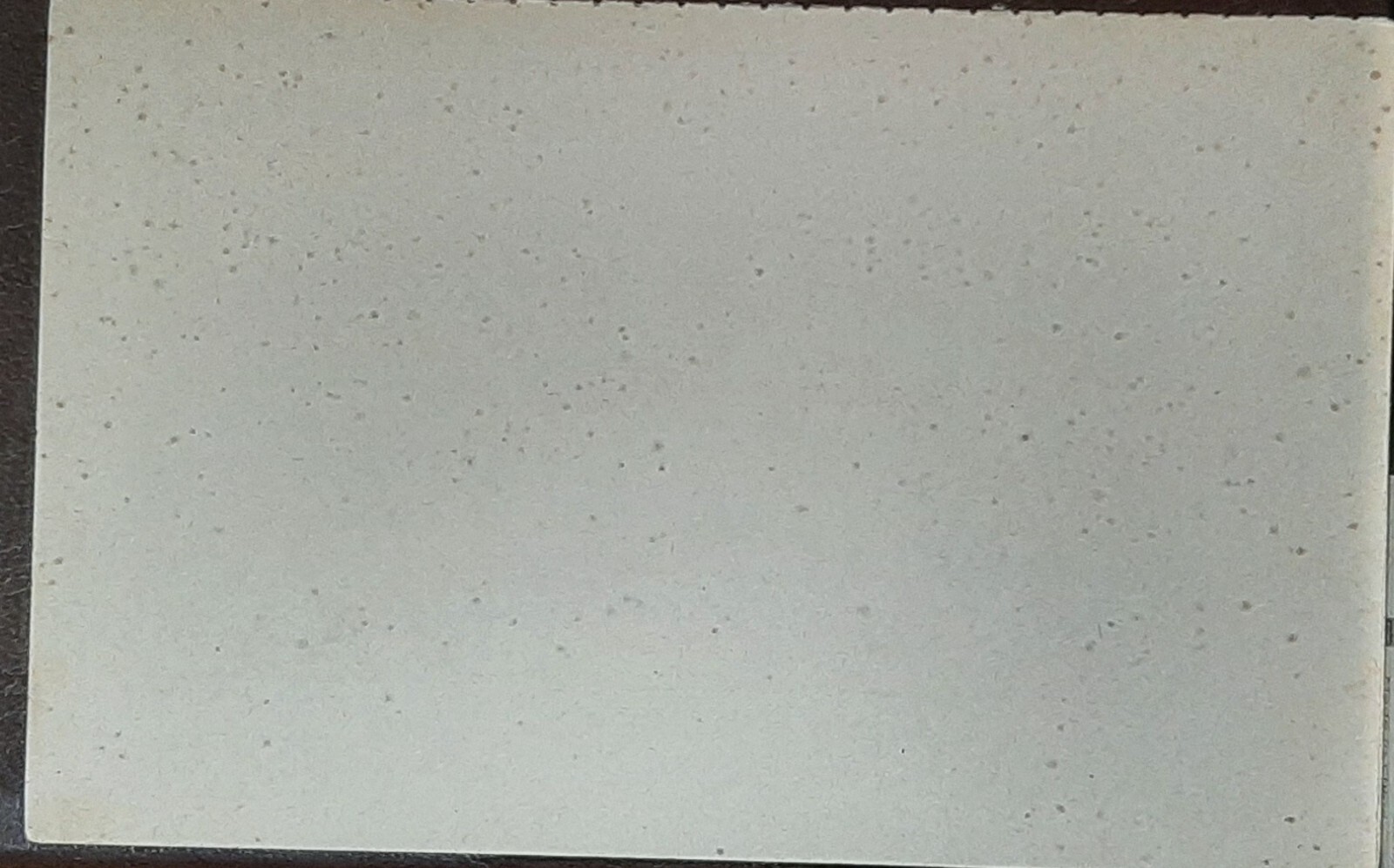 Foto 2 di 3