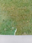 Bild 7 von 7