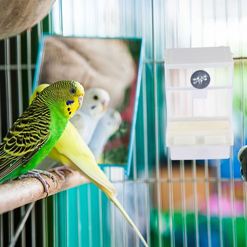 Futterautomat Vogelfutterverkauf Hängen Vogelhäuschen outlet Für Draussen