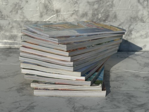 Lot of 12 Geronimo Stilton PB Youth Chapter Books by Thea Stilton Mixed Fantasy - Foto 19 di 22