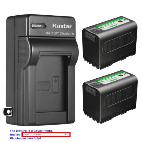 Kastar Battery AC Wall Charger for Canon XHA1SE HDV XM1 XM2 XV1 XV2 C2 FV1 DMMV1 - Picture 1 of 12