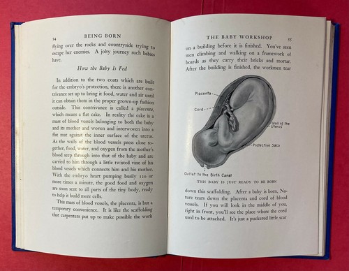 Vintage 1943 'Being Born' Frances Bruce Strain / Appleton-Century / Hardcover - Picture 5 of 7