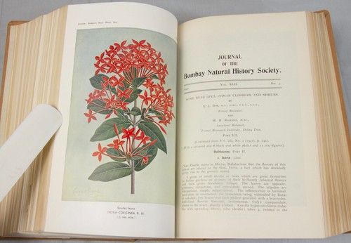 INDIA Natural History wildlife 1940-41 rare Journal Bombay superb illustrations - Picture 6 of 24