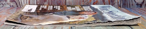 Wine Spectator Magazine MARCH 31,2021 Dogs of California Wine Country - Picture 18 of 19