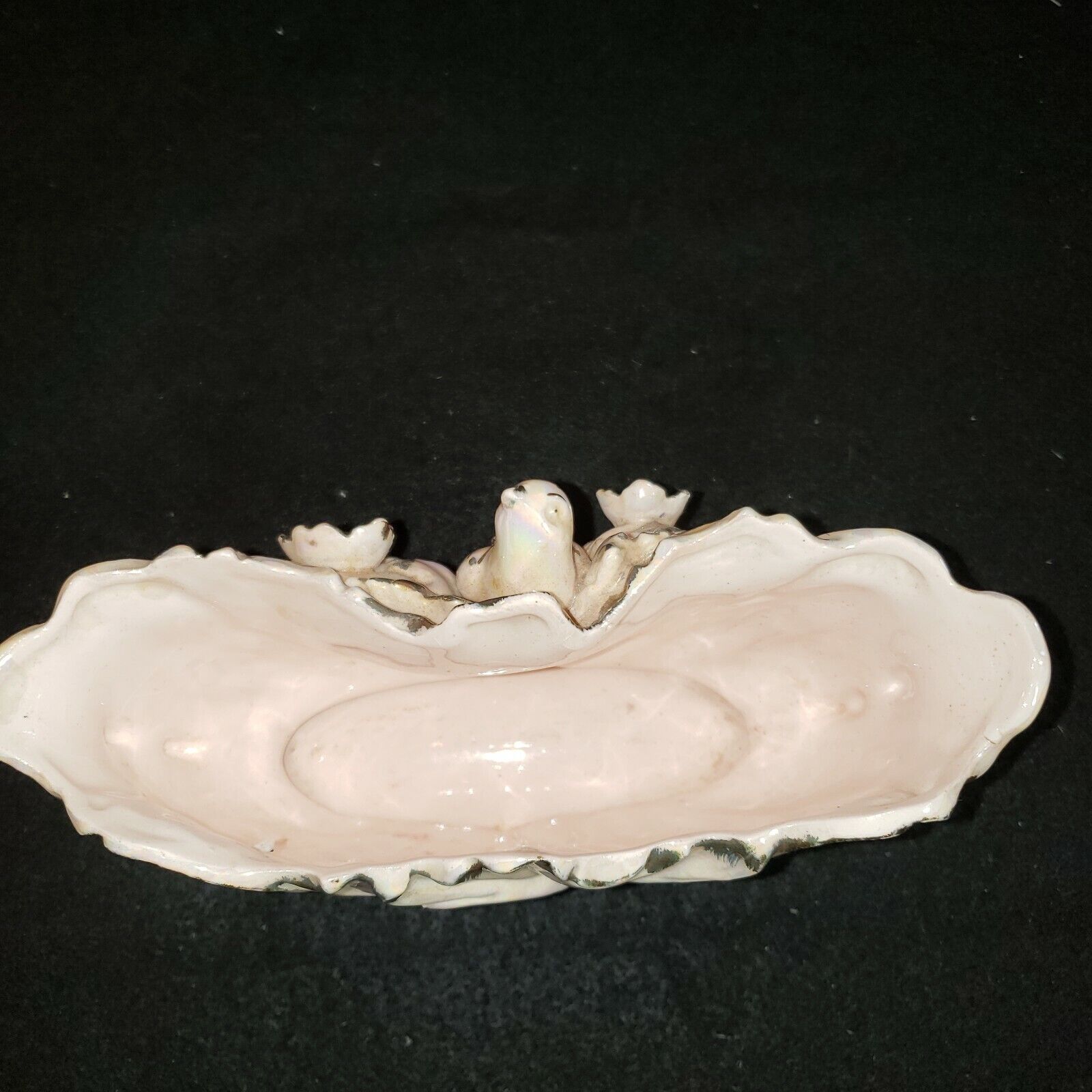Picture 9 of 11
