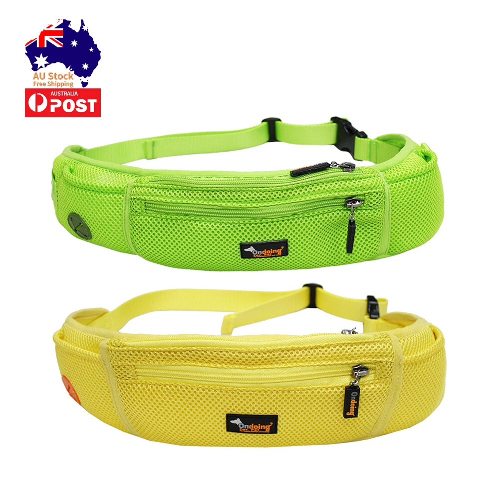 Dog Training Treat Bag Walking Pouch Belt Waist Pack Bum Bag