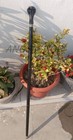 Bild 3 von 8