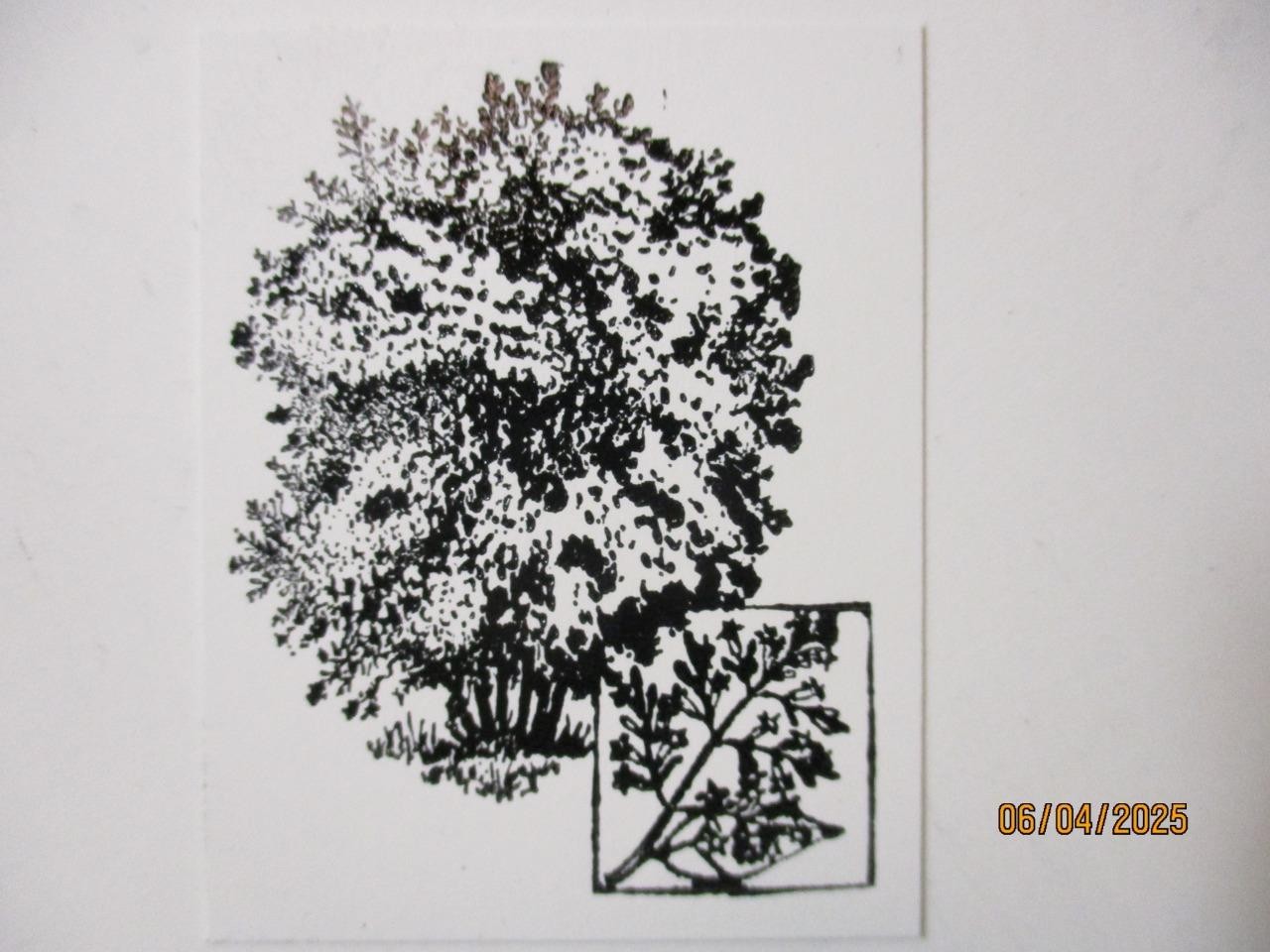 Picture 2 of 6