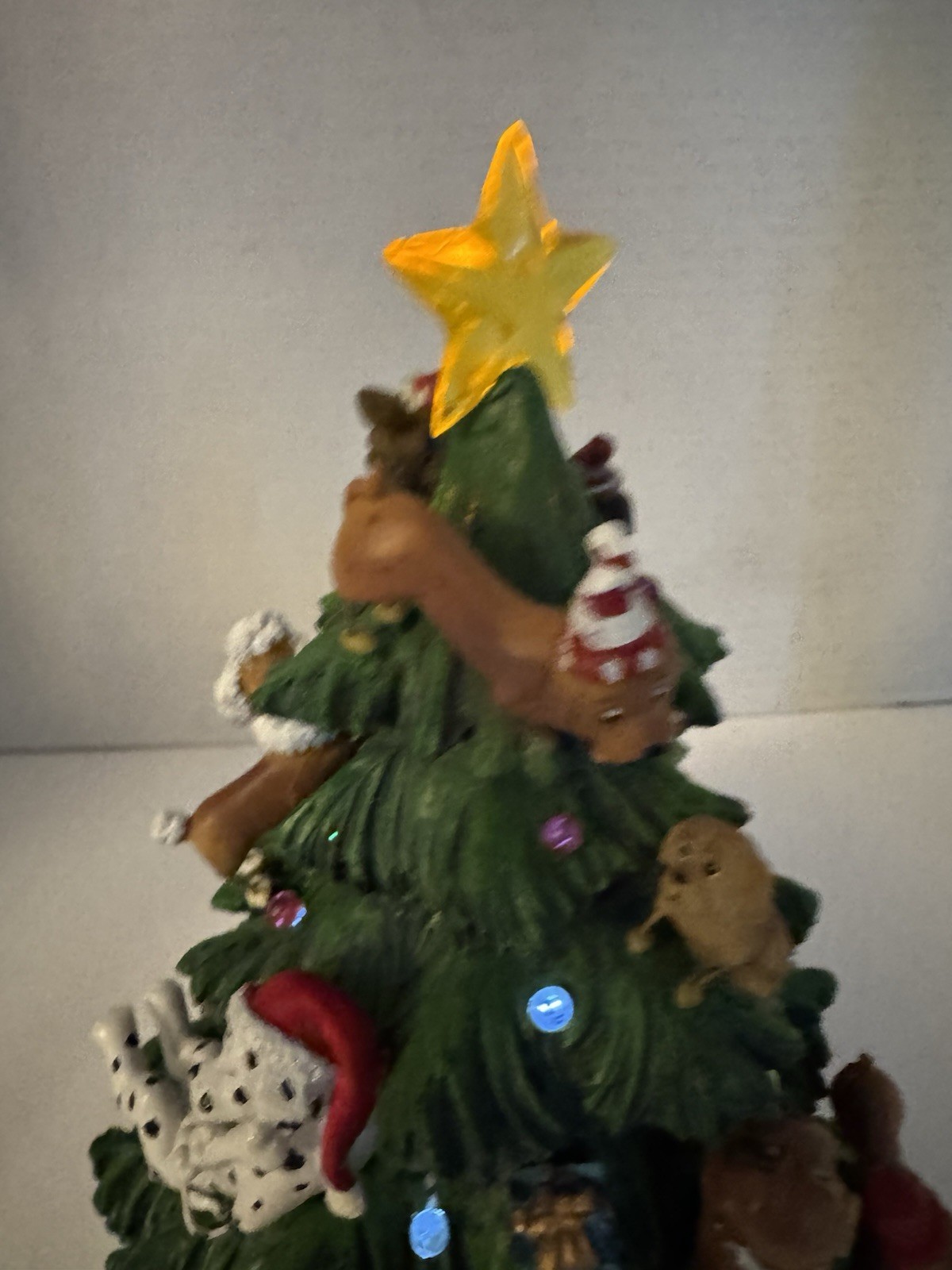 Picture 5 of 13