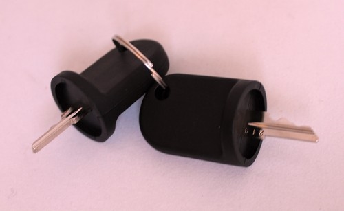 EZGO RXV Golf Cart Common Key Set of 2 for GAS Or 48V Electric Golf Carts - Picture 6 of 6
