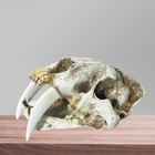 Foto 9 di 11