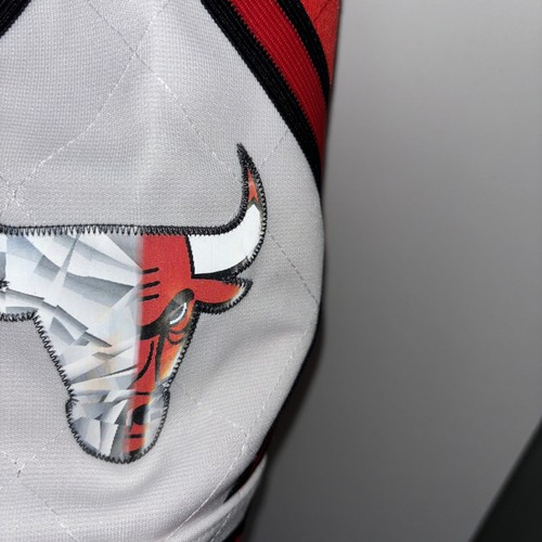 Youth Chicago Bulls Mitchell & Ness Hardwood Classics Red Swingman Shorts Sz L - Picture 4 of 8