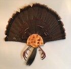 Turkey Trophy Tail Fan, Beard & Spurs Mount Kit wood Plaque Mounting Burnt Pine