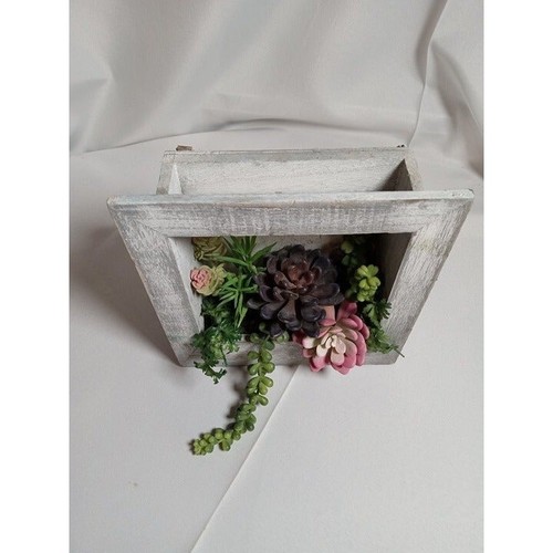 Cornice succulenta finitura rustica 8,5" x 9 e 1/4" di Walmart - Foto 5 di 7