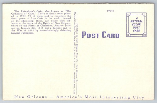 The Pakenham's Oaks, New Orleans LA Vintage Postkarte - Bild 2 von 2