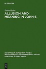 Allusion and Meaning in John 6 by Susan E. Hylen (Hardback, 2005)