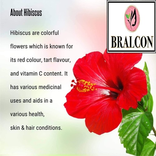 BRALCON Organic Hibiscus Powder-100g | 100% Pure & Natural Free Shipping - Picture 4 of 8