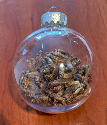 Cricket Ornament - Clear Ball Full of Crickets - Picture 5 of 6