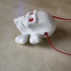 Bild 4 von 10