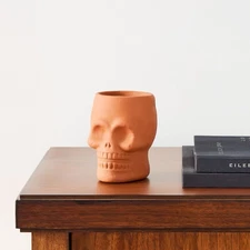 Terracotta Skull Vase