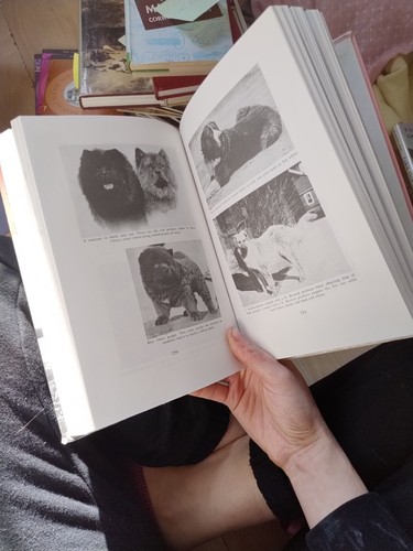 How to Breed Dogs by Leon Fradley Whitney (Hardcover, 1971) - Bild 8 von 8