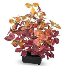  15.7" Fake Fall Bonsai Plant in Black Pot, Artificial Autumn Eucalyptus Red
