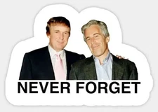 Anti Trump ~  2” Vinyl Sticker ~ Bff ~ Never Forget ~ release the files!