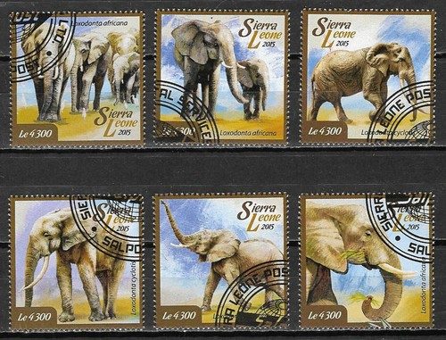 W1) Sierra Leone 2015 Wildlife Fauna Animals African Elephants - Afbeelding 1 van 1