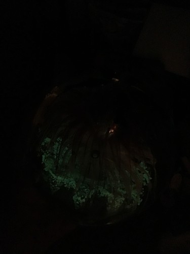 Murano Art Glass Fish Aquarium Glow In The Dark Paperweight 6.75 lbs Bubble - Picture 22 of 22
